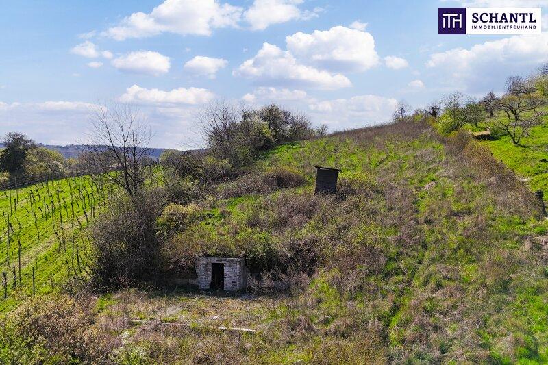 Fellergraben, 3400 Klosterneuburg
