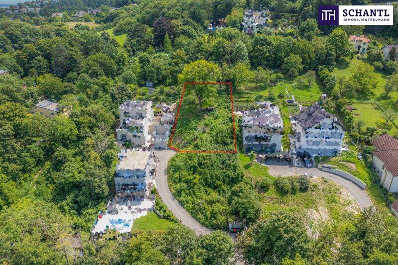 Abbildung von Grundstck und Umgebung aus der Vogelperspekti