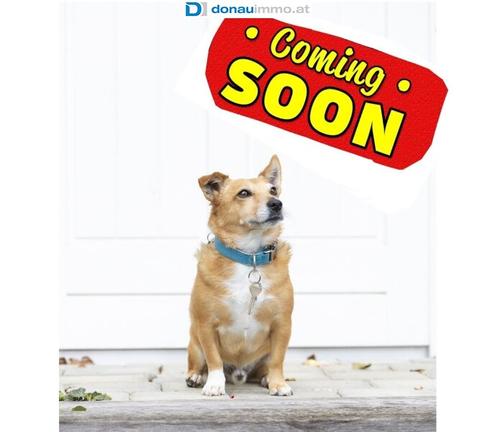 Vorankndigung! Charmante 89 m Eigentumswohnung mit Loggia - Sofort verfgbar