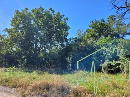 GRUNDSTCK mit Architektur-Entwurfsplanung - 9 WOHNUNGEN in Zentrumsnhe