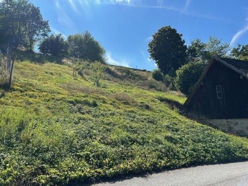 Baugrundstck in Weitra