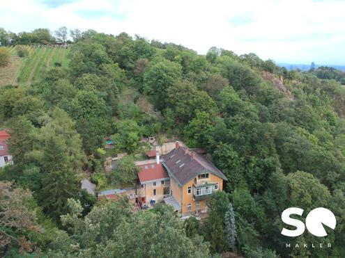 #SQ - ALTBAU VILLA IN ABSOLUTER EINZIGARTIGER RUHELAGE