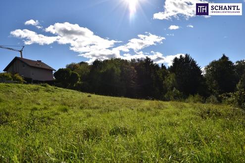 Aehnliche Immobilie - Vorschaubild 1