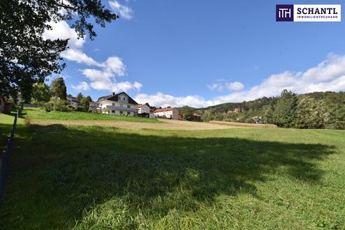 Ihr Traumhaus wird Realitt: Idyllisches Baugrundstck in Bad Gams mit sonniger Sdausrichtung, allen Anschlssen und ruhiger, naturnaher Wohnlage