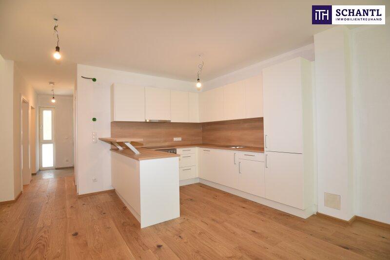 Wohnessbereich (Einrichtungsbeispiel)