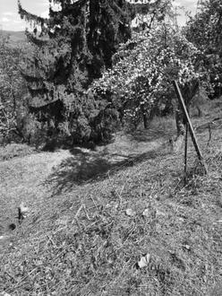 Aehnliche Immobilie - Vorschaubild 2