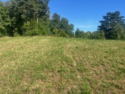 BAUGRUNDSTCK am ORTSRAND in Grnruhelage