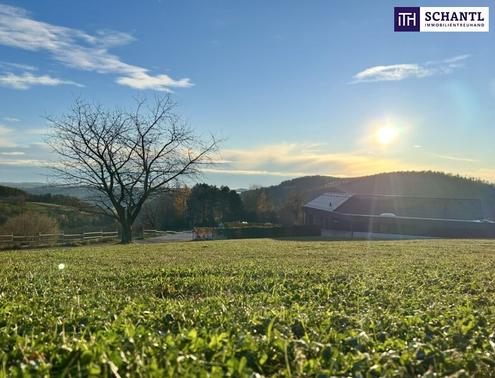 Aehnliche Immobilie - Vorschaubild 3