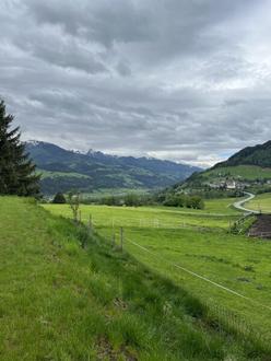 5 ha Panorama-Bauernhof im Wachstumsgebiet - ideales Objekt f�r Betriebsentwicklung