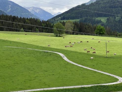 13,5 ha landw. Wiesen-/ Weideflächen - hervorragend maschinell bearbeitbar