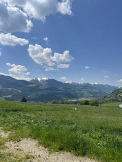 13,5 ha landw. Wiesen-/ Weideflächen - hervorragend maschinell bearbeitbar