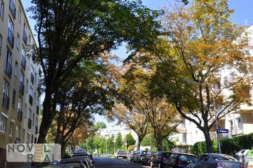 NÄHE HOHE WARTE - HELLE UND RUHIGE WOHNUNG MIT GARTENNUTZUNG