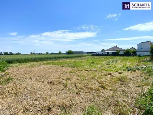 Perfekt f�r H�uslbauer und als Anlage: Baugrundst�ck I Gr�nruhelage I unverbautes Gegen�ber I Kein Bauzwang!