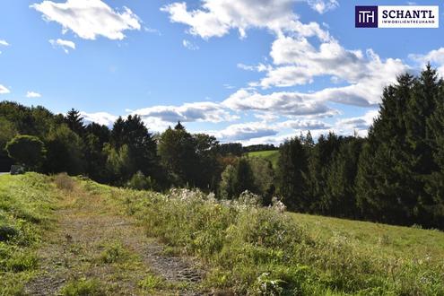 Aehnliche Immobilie - Vorschaubild 3