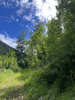 6 ha Wald in der Veitsch