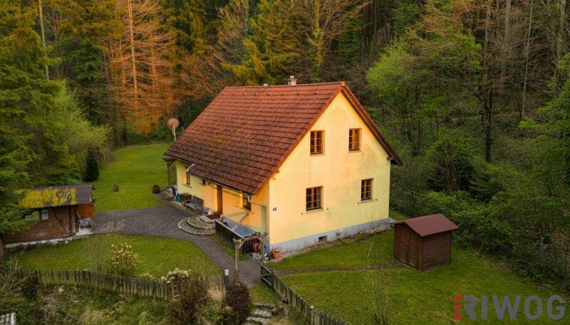 Frontansicht Geb�ude