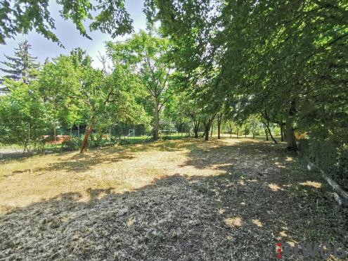 522m� Garten (kein Baugrund) mitten in Langenzersdorf