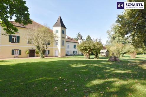 MÄRCHENHAFTE Wohnung im SCHLOSS mit TERRASSE, eigenem WEINKELLER und Nutzung des SCHLOSSGARTENS! Ab sofort verfügbar!
