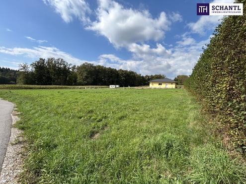 Aehnliche Immobilie - Vorschaubild 2