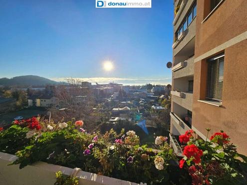 Aehnliche Immobilie - Vorschaubild 1