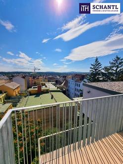 Wohnen mit Schlossblick! Exklusive Dachgeschoss-Perle mit viel Grün und Privatsphäre + 3 Zimmer + Nachhaltige Erdwärme + Höchste Qualität!