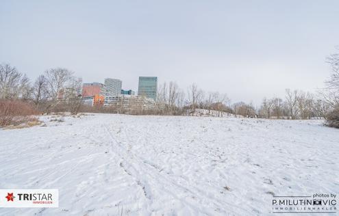 Aehnliche Immobilie - Vorschaubild 2