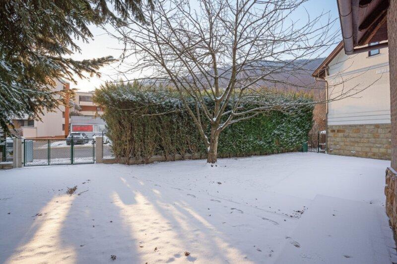 PKW-Abstellplatz und Garten mit Kirschbaum