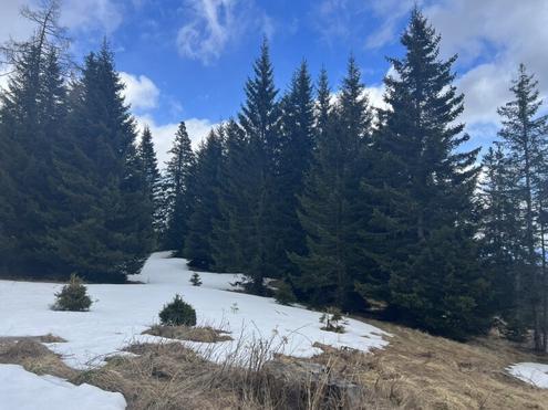 Aehnliche Immobilie - Vorschaubild 1