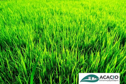 Aehnliche Immobilie - Vorschaubild 2