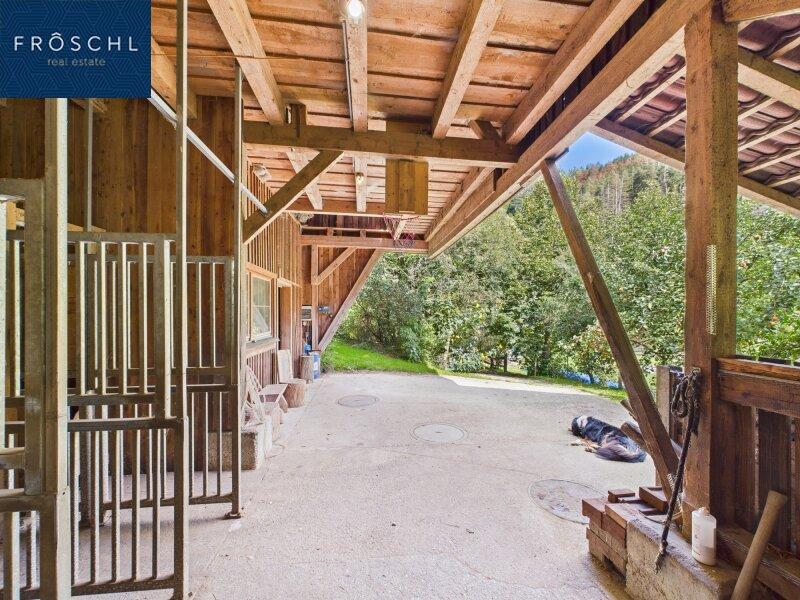 Ansicht des Pferdestalls - Pic 3