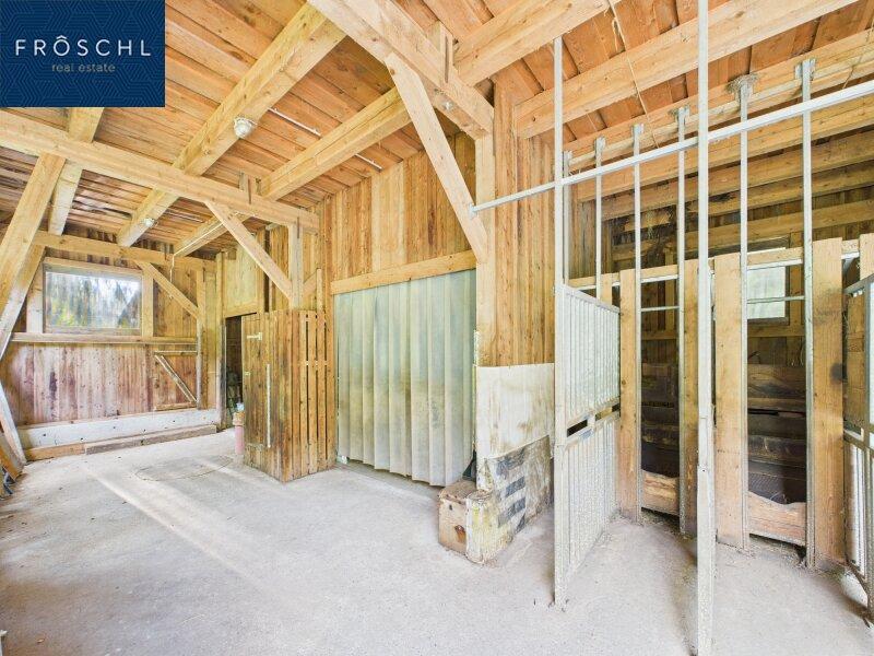 Ansicht des Pferdestalls - Pic 2