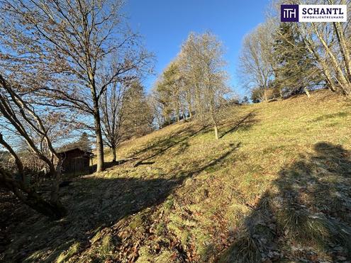 PREISREDUKTION! Attraktiver Baugrund inkl. Bewilligung f�r Wohnbauprojekt mit 4 Doppelhaush�lften! Jetzt anfragen!