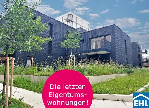 Urbanes Garteln direkt vor der Haustür - Wildgarten