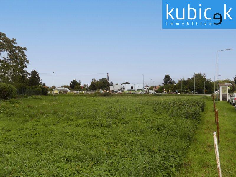 Grundst�ck Richtung Norden