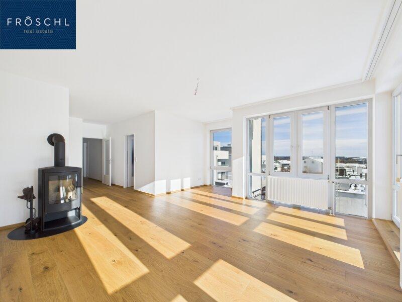 Ansicht Heizofen und Wohnzimmer - Pic 1