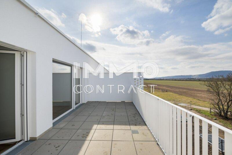 Freifl�chen mit Blick ins Gr�ne