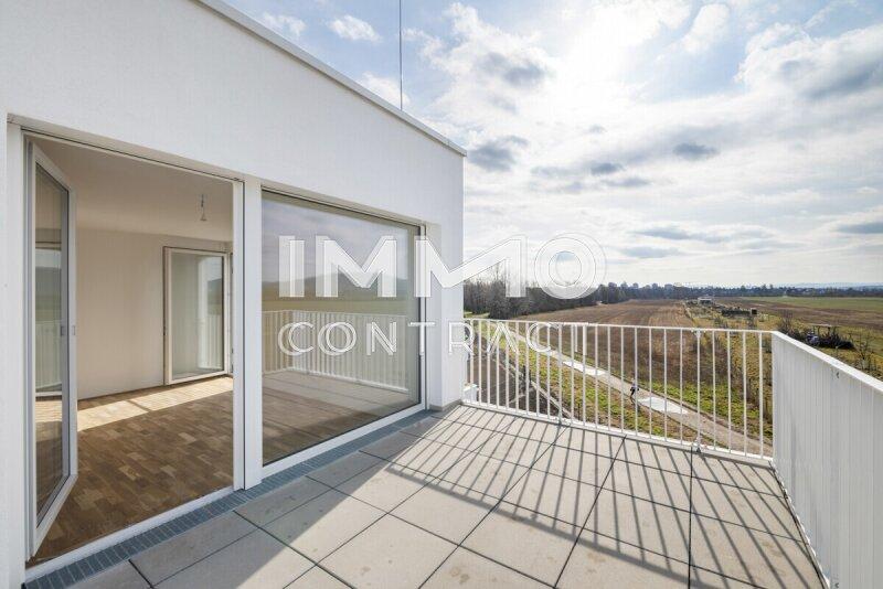 Lichtdurchfluteter Wohnbereich