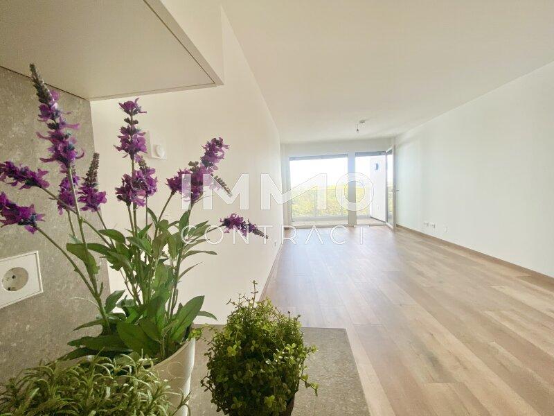 Wohnesszimmer mit Loggia