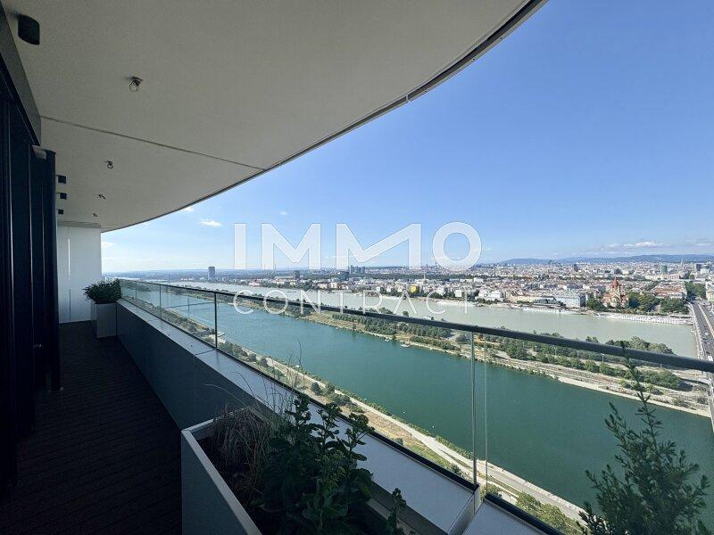 Ausblick Neue Donau stromabw�rts