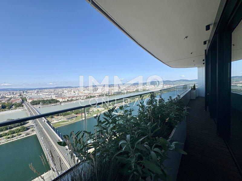 Ausblick Neue Donau aufw�rts