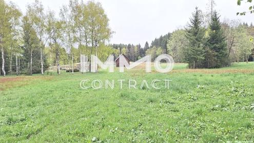 Gro�es Grundst�ck mit Fischteich und Badeteich, Erholungsanlage, Freizeitparadies mit viel Potenzial