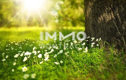 ***Preis-Hit****Sch�nes Grundst�ck mit Weitblick & bestehendem Stromanschluss