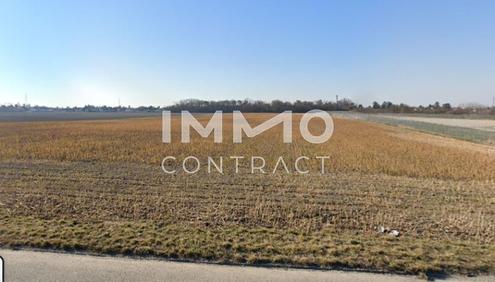 Investieren Sie in die Zukunft; Bauhoffnungsland mit Entwicklungspotenzial