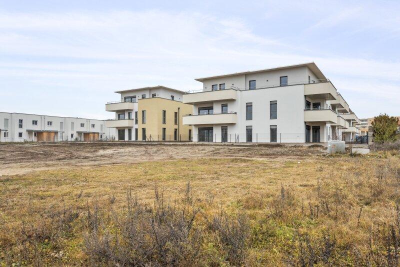 Bella Vita - Wiener Neustadt