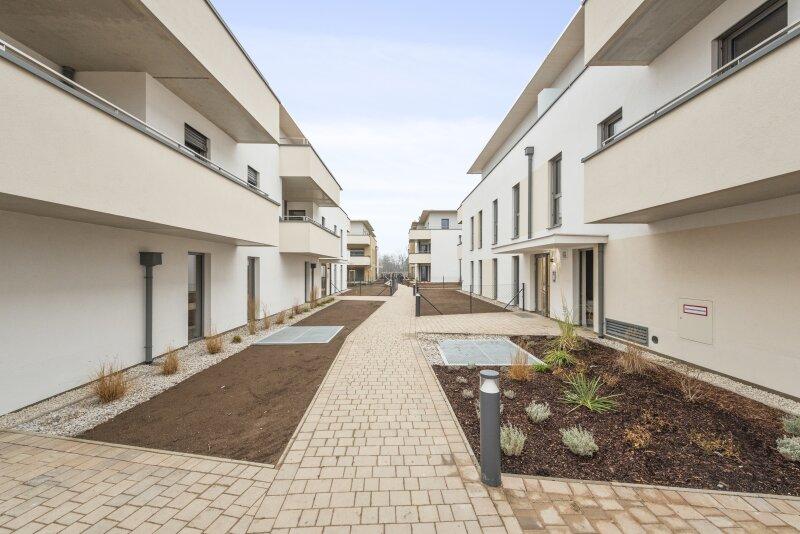 Bella Vita - Wiener Neustadt