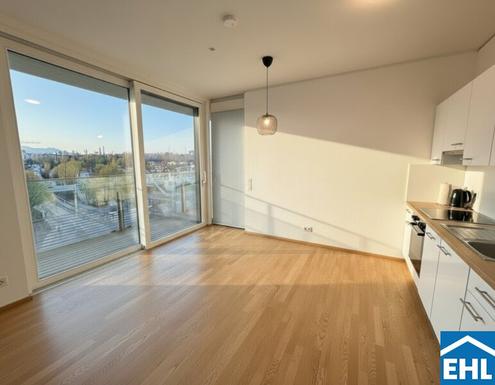 LEBEN IM TRIIIPLE - wunderschöne 2 Zimmerwohnung mit Rooftop Pool - STADT. LAND. FLUSS.