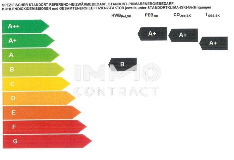 Auszug Energieausweis