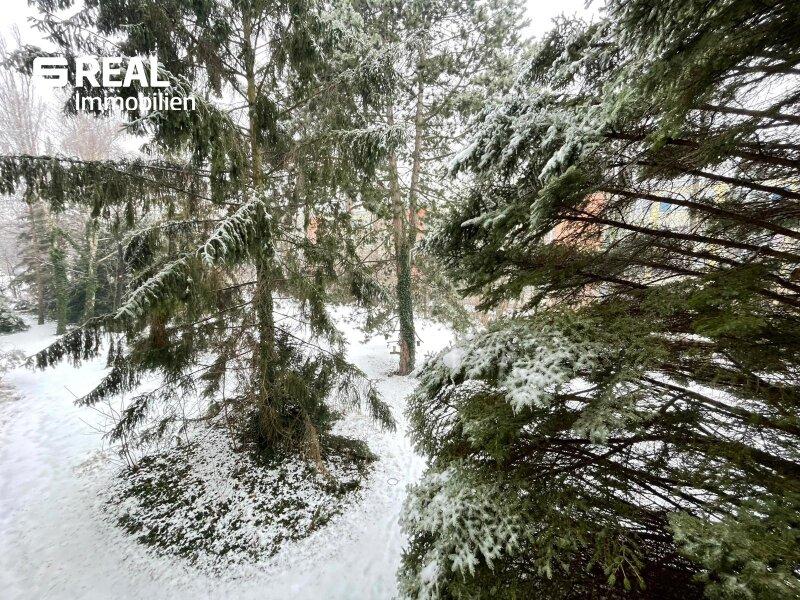 Gr�nblick Innenhof s�dwestseitig