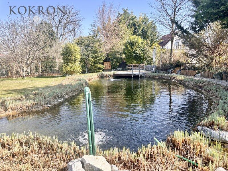 Schwimm-Biotop von Kittenberger