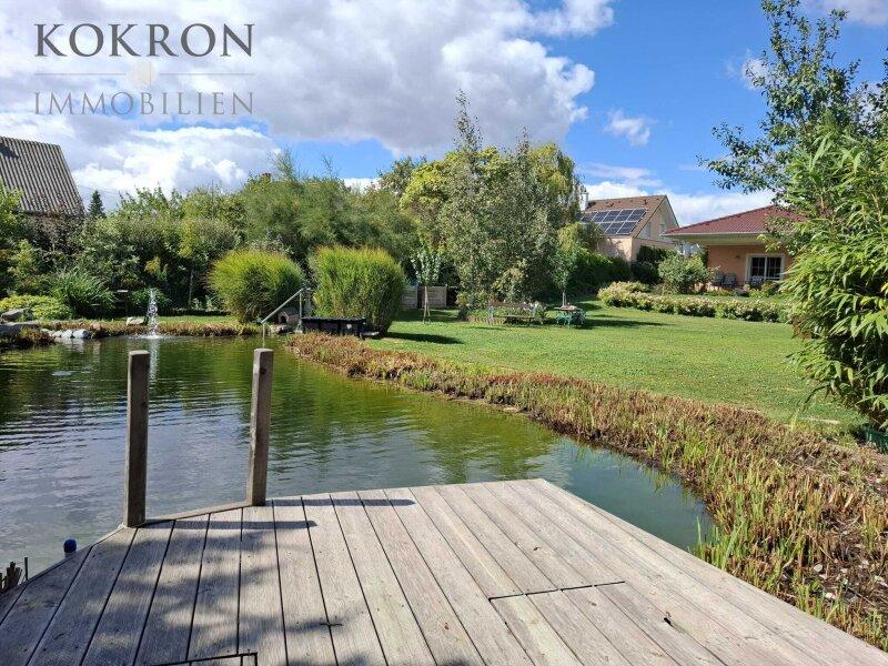 Schwimm-Biotop im Sommer